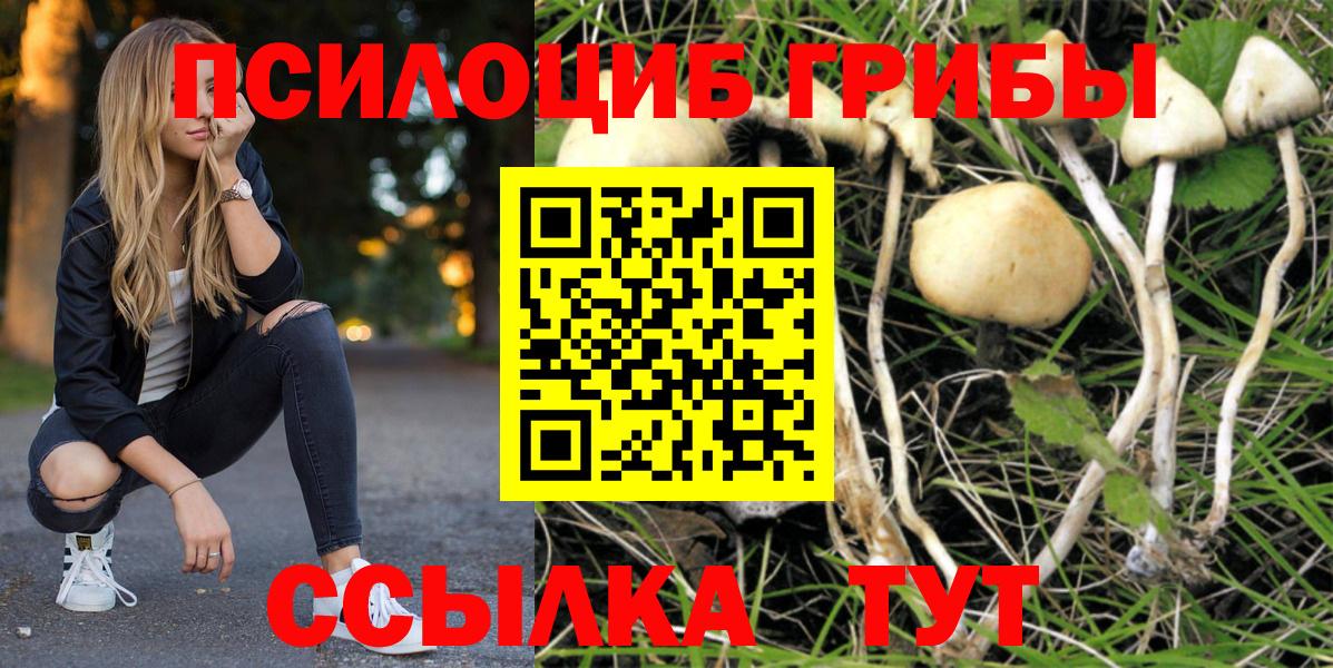 Псилоцибиновые грибы GOLDEN TEACHER  Псилоцибиновые грибы прущие грибы  Вход с VPN  Белово 